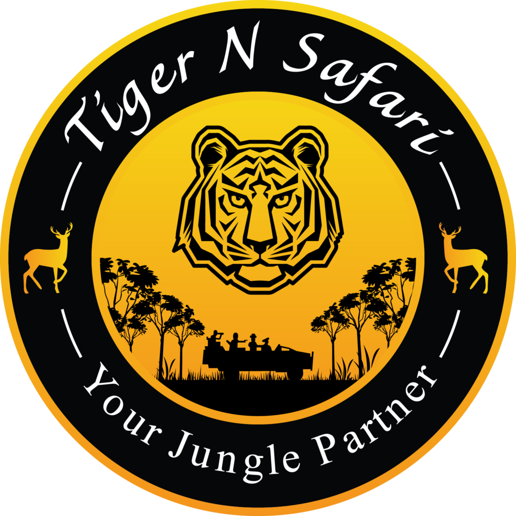 Tiger N Safari